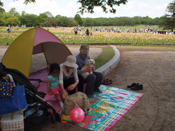 昭和記念公園でピクニック