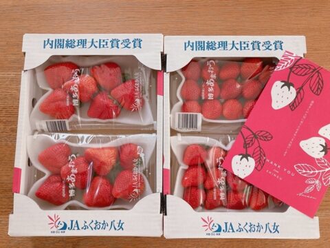 福岡県新宮町の博多あまおうイチゴ